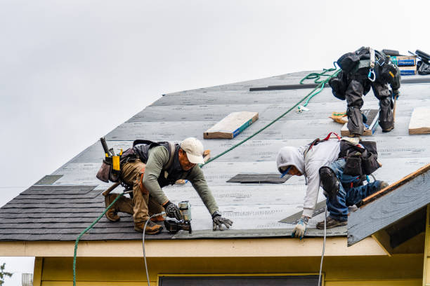 Professional Gutter Installation technician working in Dhs, VA